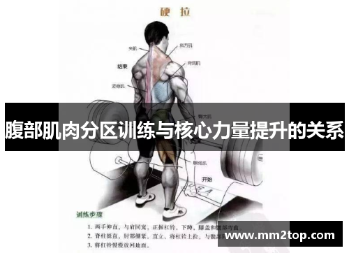 腹部肌肉分区训练与核心力量提升的关系